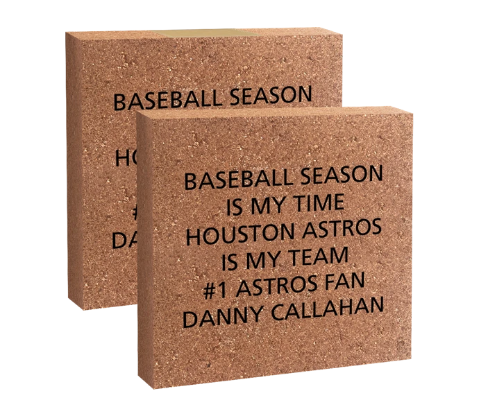 [ASTROS 8X8 BRICK] 8x8 Brick (Paver)